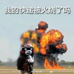  双十一等快递表情包下载熊本熊系列双十一等快递表情包高清无水印极光下载站