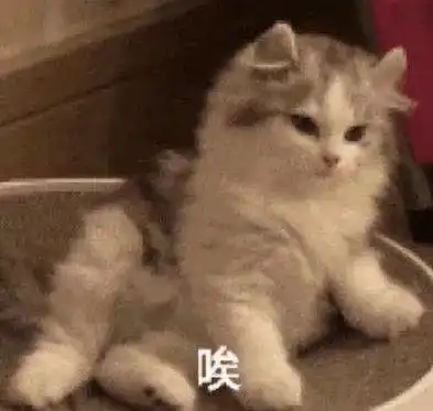  虞书欣lisa原来也被嘴角纹困扰着