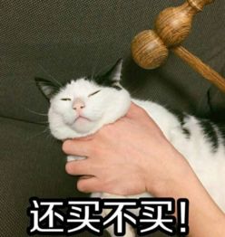  想要春节懒颓废妈妈的表情会这样变