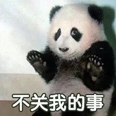  每日表情圆滚滚大熊猫表情包