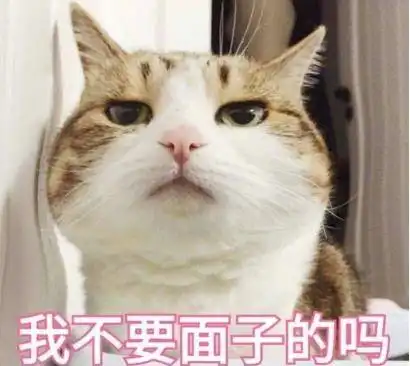  我们想给猫咪买品质最好的猫粮但猫咪最爱吃的却可能是植物粮