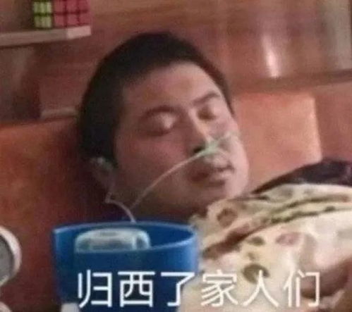  丽丽表情包家人们到位了