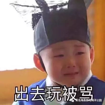 放假被骂表情包熊猫