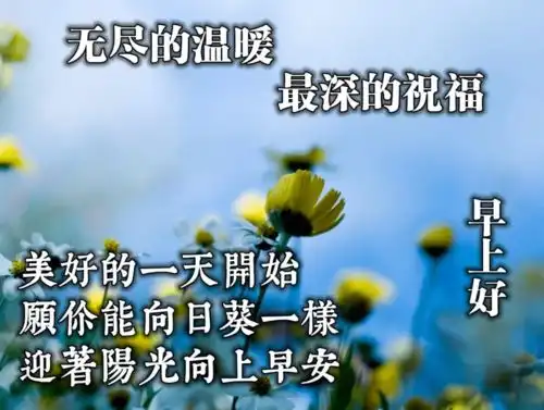  微信适合群发给朋友的温馨早安问候语非常漂亮的美女图片带早安问候语