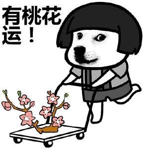  2020新年祝福图片大全