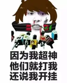  厉害了我的王者荣耀老外为喷队友狂学中文