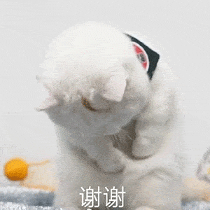  满意在三明人口普查开始啦欢迎普查员来我家