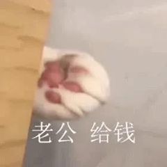  表情包您好,我是来应聘干饭王的