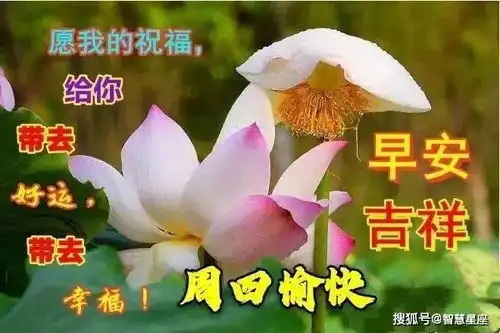  周四最美鲜花早上好问候动画表情包,好看的美女早安问候祝福语图片带字精选