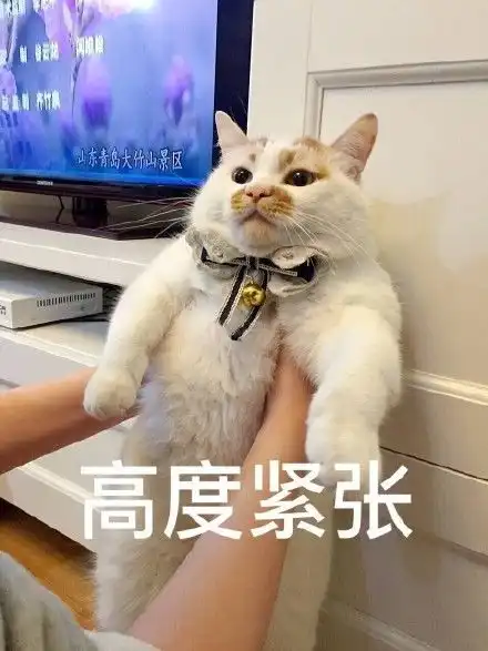  作为日吸三百遍的猫奴,你一定知道这件事内附洗澡视频