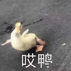 少年的你又双叒叕拿奖了