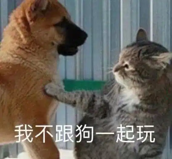  今日份表情包