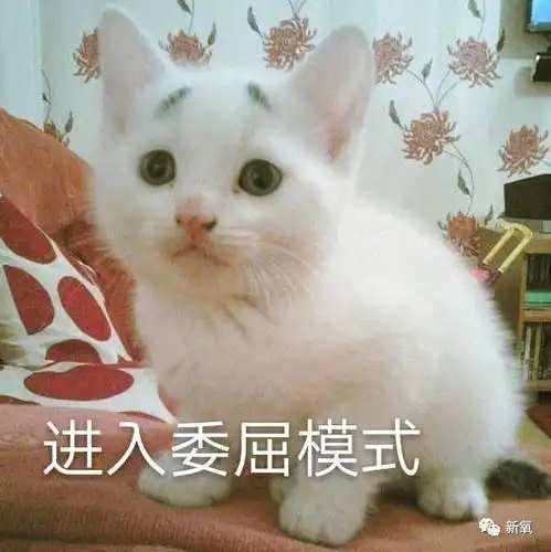 女明星年底集体开窍宋祖儿和景甜的新眉毛美出天际  女明星年底集体开窍宋祖儿和景甜的新眉毛美出天际