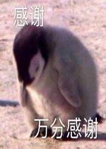  初三中考考完了,毕业证也拿到了可不可以复读,要复读怎么搞
