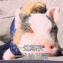  25岁,从青少年一夜迈入中老年的魔幻门槛
