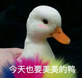  女生总是说打扮是为了取悦自己,为什么大部分女生只有在出门时才化妆