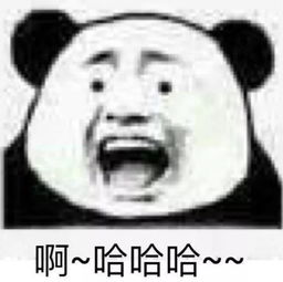  又一顶级排球赛事在蓬江开战亚洲排名前八的男排队伍都来了