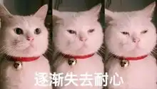  baby被质疑变脸,新人装嫩过头没礼貌曾经的国民综艺跑男糊了吗