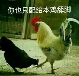  哈哈哈哈哈长辈们的鸡年表情包又火了,面膜都笑掉了