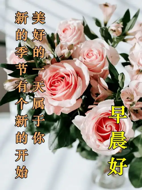  今日最新早上好表情包图片大全,常问候,常牵挂