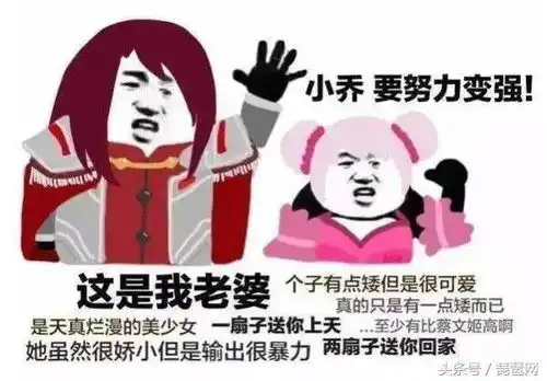 王者荣耀法师最强top5,把他们禁掉就等于赢了一半 王者荣耀法师最强top5,把他们禁掉就等于赢了一半