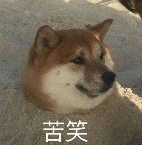  月薪5000背假包22款千元大牌包,不吃土也能买买买