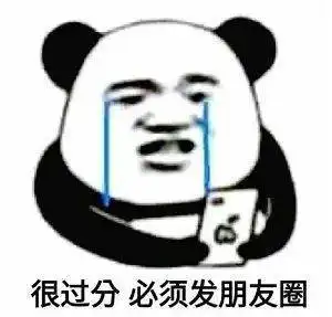  熊猫头表情包i你很过分你知道吗