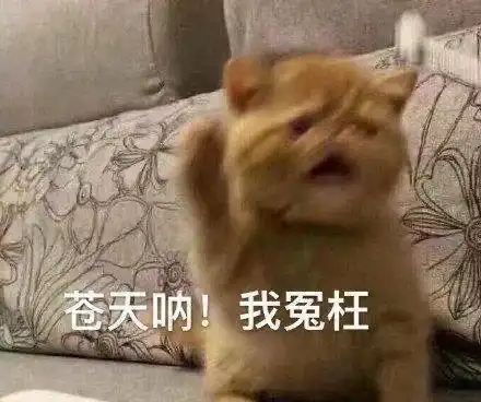 你不要过来阿表情包过来