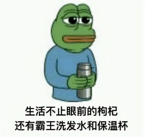  不带电脑回家,是年轻人的反驯化