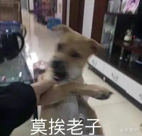 舔爷表情包雅人