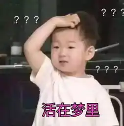max问号脸表情包弄醒