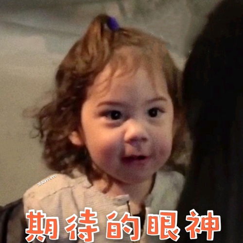  建厚猪宝迷人表情包第十二弹