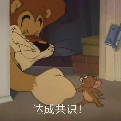  每日沙雕表情包