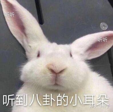  痛经吃什么水果好能缓解