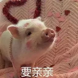  今年份的大牌新年限量款比丑大赛,丑哭