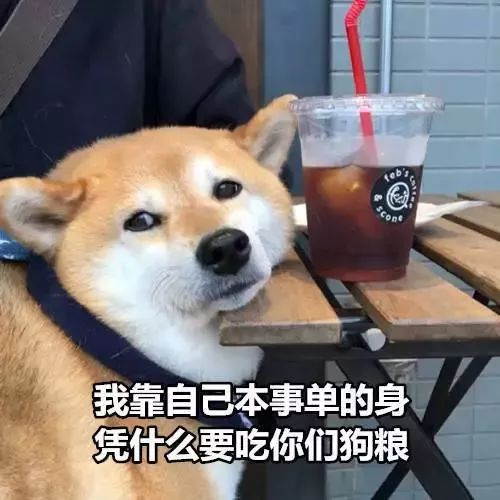  在个旧虐狗不存在的今年七夕,汉服小姐姐小哥哥穿越时空陪你过节
