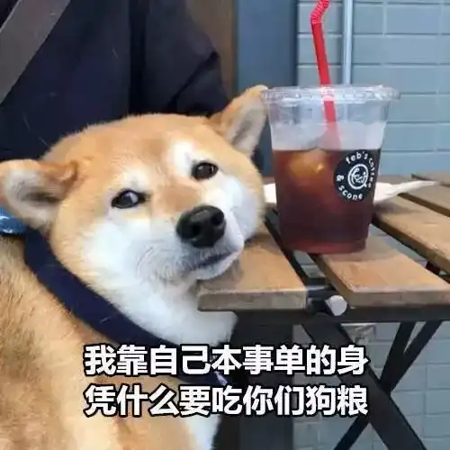  在个旧虐狗不存在的今年七夕,汉服小姐姐小哥哥穿越时空陪你过节