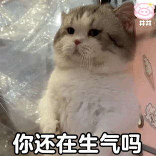  表情包丨搞笑表情包带字图片