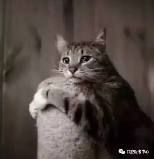  学医前后的表情,总有一张戳中过你