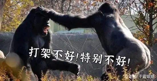  破除四唯摘官帽下好双减整盘棋教师职称评定改革