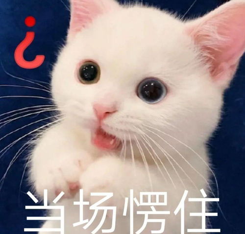  月薪3千的绿茶,却要求嫁给月薪3万的男人