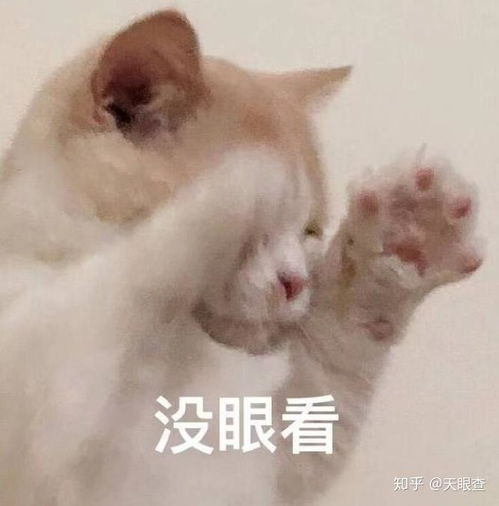  对pua浪迹的欺诈你是怎么看的