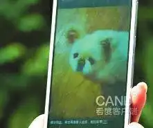  称被逼套狗链给狗下跪