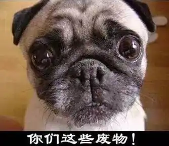  易少选择恐惧症之同时落水