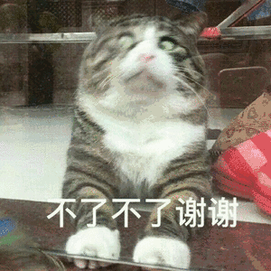 广告表情包动态图片产品
