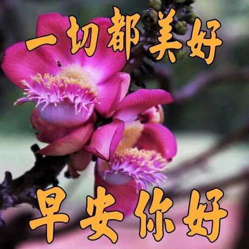 新春祝福图片表情包早上