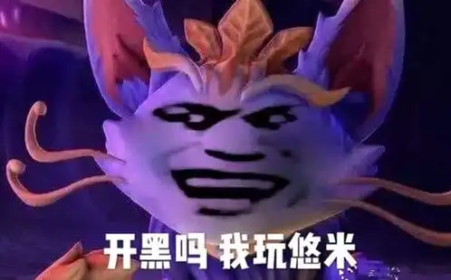  lol猫咪被吐槽是挂件,瑶惨遭ag梦泪怒喷,为何辅助总是被嫌弃