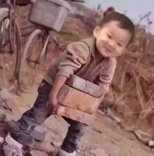 表情包看一个人搬砖