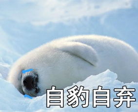  健身教练陪睡为冲业绩每日轻松一刻4月11日午间版