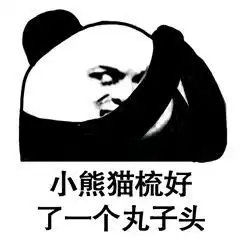  小熊猫梳了一个新发型表情图片小熊猫贴了贴腮红沙雕表情包下载乐游网游戏下载